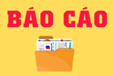 BÁO CÁO THƯỜNG NIÊN NĂM HỌC 2024-2025